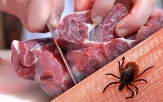 ۱۱ مبتلا به تب کریمه در یزد؛ «گوشت را ۲۴ ساعت در یخچال نگه دارید»