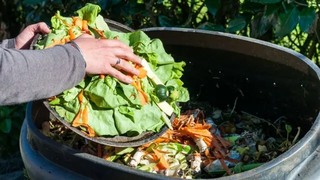 ۷ گام عملی برای کاهش دورریز غذا در خانه