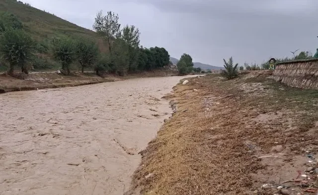 فرماندار مینودشت: برق ۲۰ و آب شرب ۱۸ روستا در جریان سیلاب قطع شد/ به حدود ۲۵۰ هکتار از اراضی زعفران و ۲۰۰ هکتار از مزارع خسارت وارد شد/ ۴۵ هکتار از اراضی توتون و ۲۰ واحد دامداری نیز در فهرست مناطق آسیب‌ دیده قرار دارند