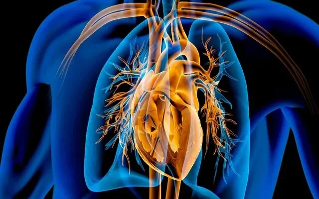 از پیاده‌روی تا تغذیه سالم؛ راهکار‌هایی برای مراقبت از قلب